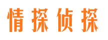 泸定捉小三公司